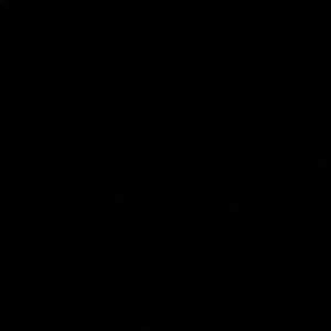 Meet your Posher, Shanice